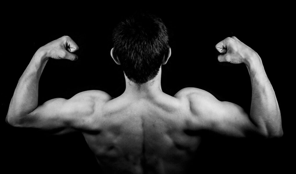 costas masculinas com músculos